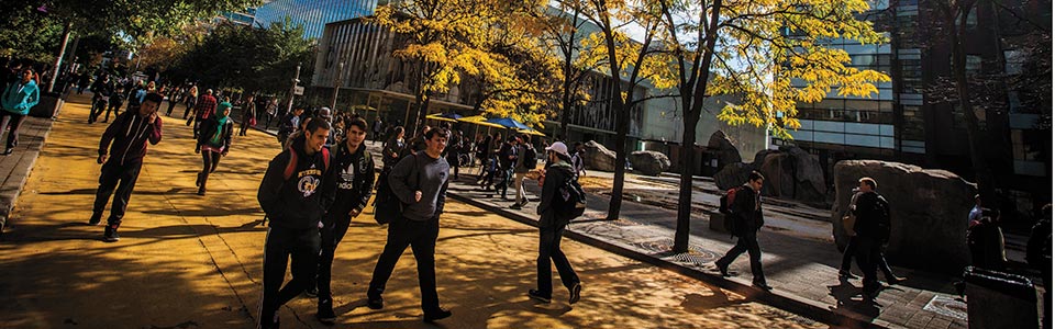 Ryerson University campus: students on a terrace with autumn leaves.