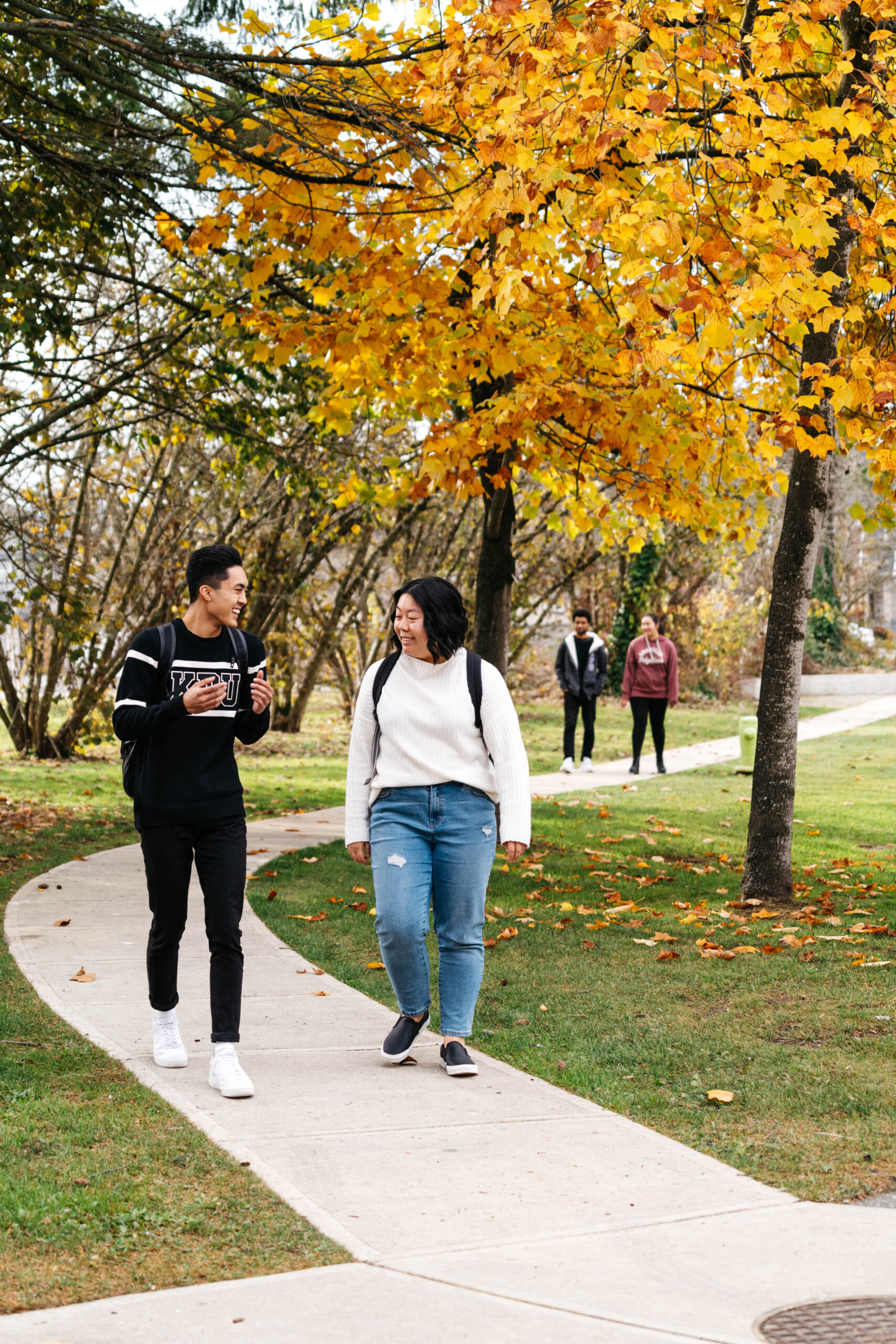 Two students walking on campus with fall leaves in the background