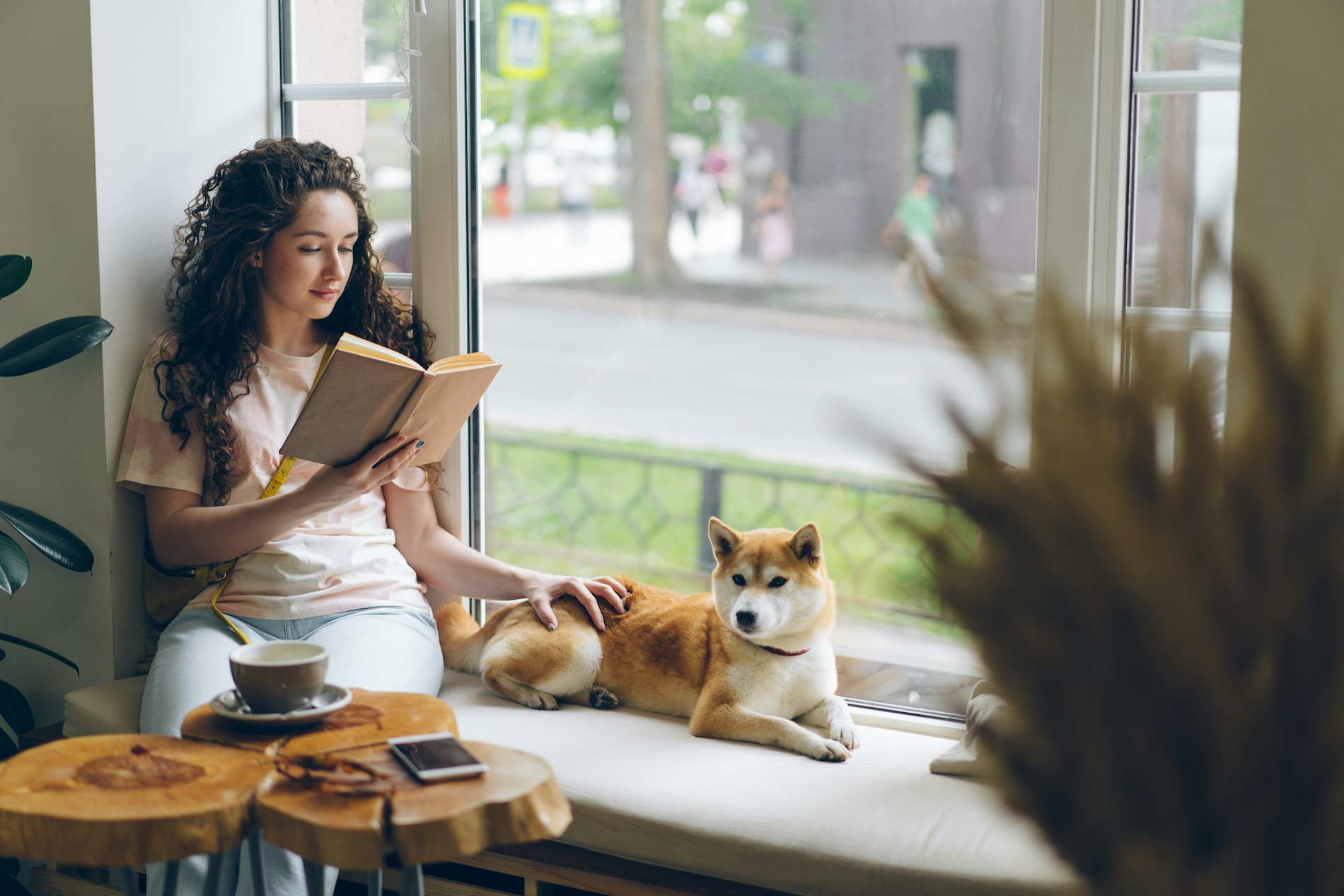 Young woman reading a book on a window seat while petting a dog